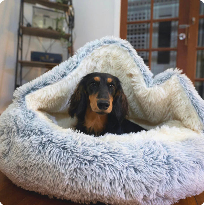 Cozy Winter Pet Bed