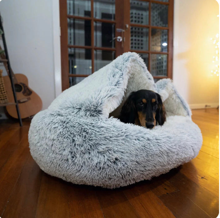 Cozy Winter Pet Bed