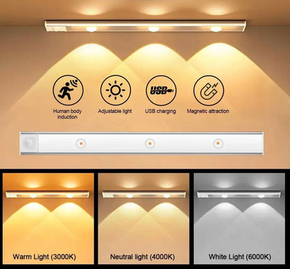 Night Motion Sensor Light