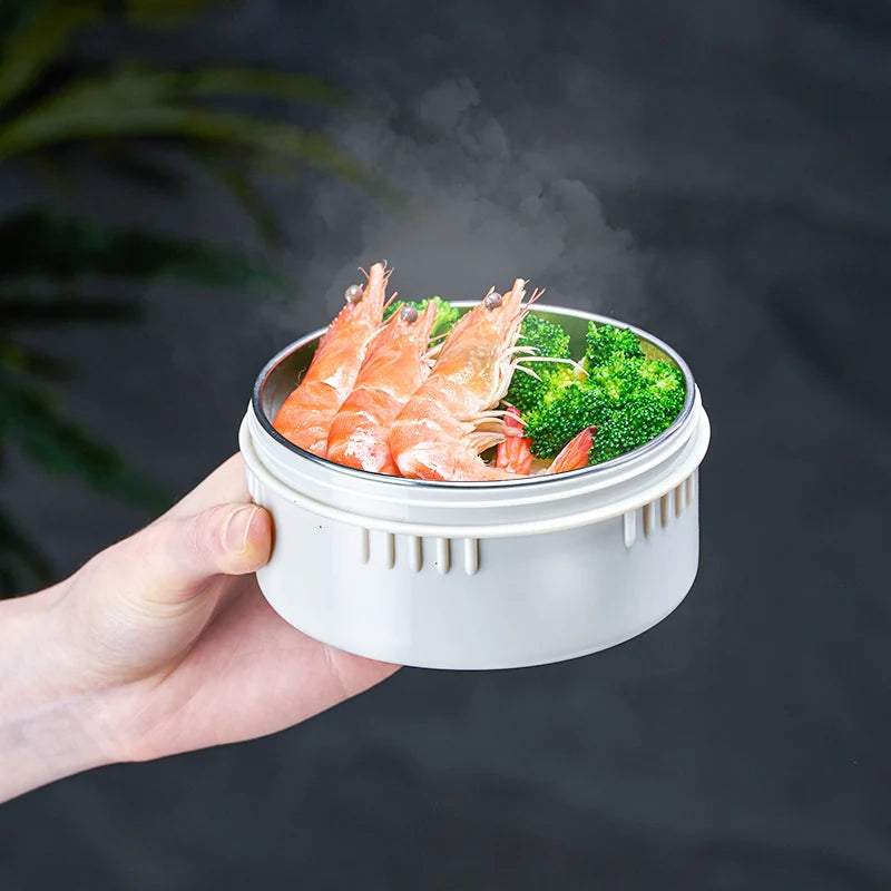 Portable Thermal Lunch Box